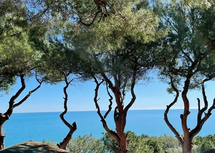 Village Internazionale Parco vacanze